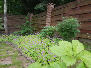 20170709_092554.jpg