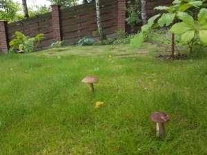 20170714_110406.jpg