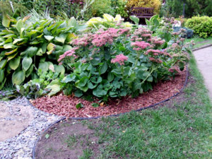 DSCF4791.JPG