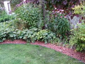 DSCF4793.JPG