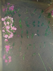 20230729_212237.jpg