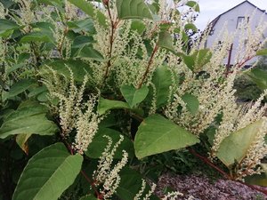 IMG_20230923_173532.jpg