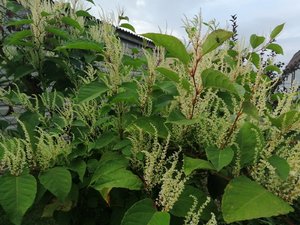IMG_20230923_173535.jpg
