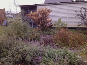 IMG_20231021_131758.jpg