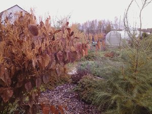 IMG_20231021_131837.jpg