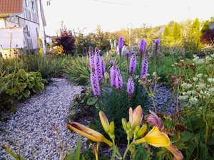 IMG_20230810_193549.jpg