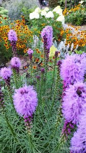 IMG_20220805_203159.jpg