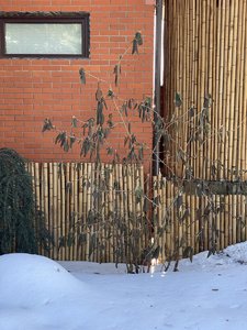 IMG_8270.jpeg