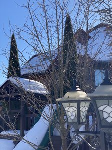 IMG_8261.jpeg