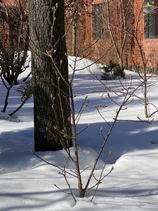 IMG_8265.jpeg