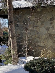 IMG_8269.jpeg
