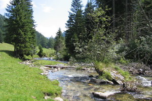 200507_Inneres_Poellatal_04.jpeg