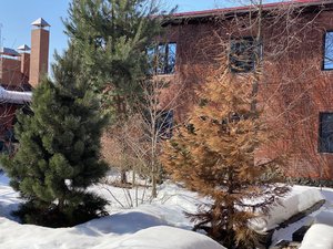 IMG_8313.jpeg