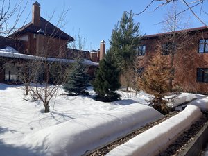 IMG_8314.jpeg