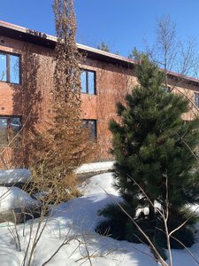 IMG_8297.jpeg