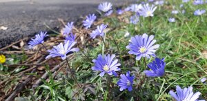 IMG-20240323-WA0002.jpg