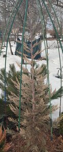 IMG_20240330_162435~2.jpg