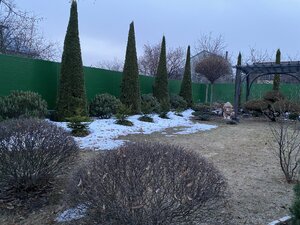 IMG_8442.jpeg