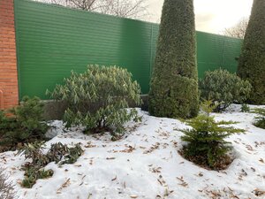 IMG_8427.jpeg