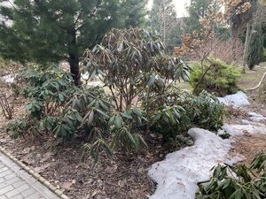 IMG_8430.jpeg