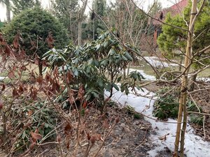 IMG_8429.jpeg