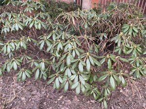IMG_8432.jpeg