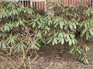 IMG_8433.jpeg