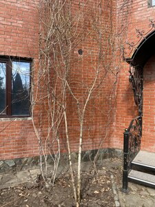 IMG_8455.jpeg