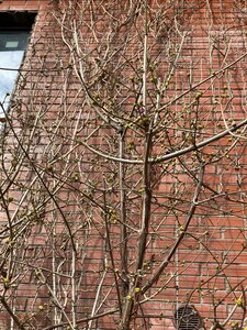 IMG_8456.jpeg