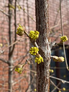 IMG_8457.jpeg