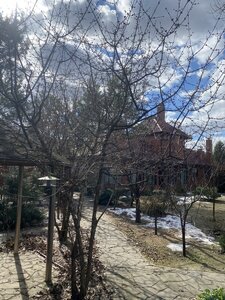 IMG_8459.jpeg