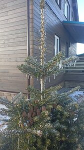 f01db839-6eee-4891-8d84-1c0a4ef80a50.jpg