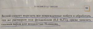 scale_2400 (2).jpeg