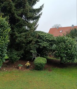 IMG_20240420_172353.jpg