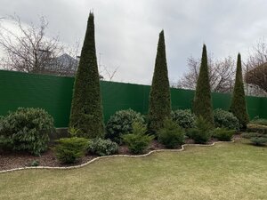 IMG_8552.jpeg