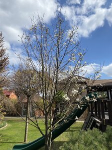 IMG_8685.jpeg