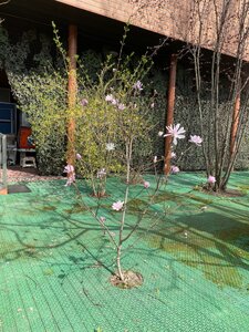 IMG_8688.jpeg