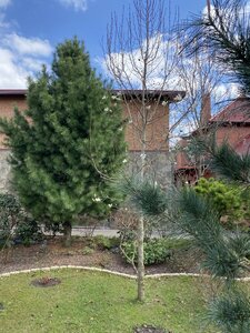 IMG_8695.jpeg