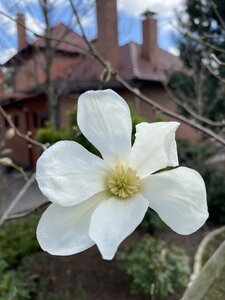 IMG_8696.jpeg