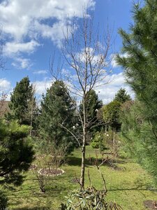 IMG_8691.jpeg