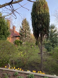 IMG_8750.jpeg