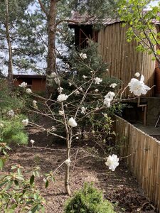 IMG_8741.jpeg