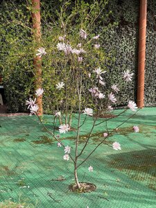 IMG_8735.jpeg