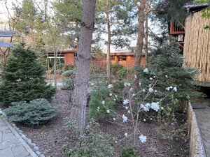 IMG_8759.jpeg