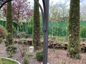 IMG_8847.jpeg