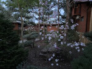 IMG_8835.jpeg