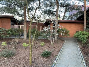 IMG_8810.jpeg