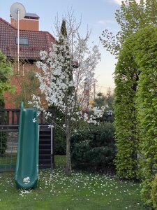 IMG_8818.jpeg