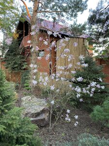 IMG_8809.jpeg