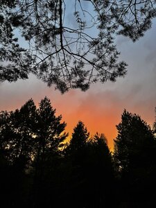 IMG-47dfd662fb03110dc26286fc90afbe5e-V.jpg